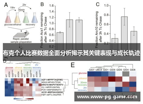 布克个人比赛数据全面分析揭示其关键表现与成长轨迹