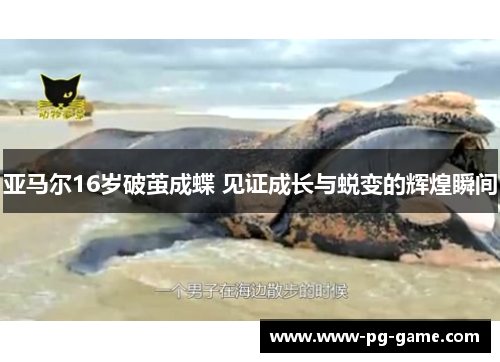 亚马尔16岁破茧成蝶 见证成长与蜕变的辉煌瞬间 亚马尔16岁破茧成蝶 见证成长与蜕变的辉煌瞬间