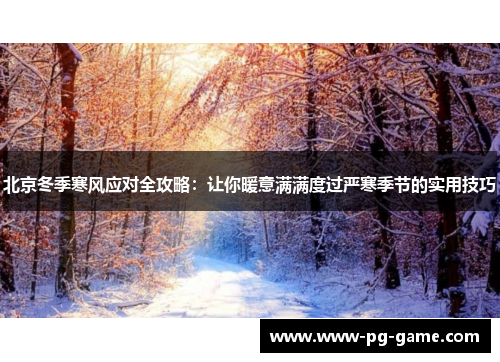 北京冬季寒风应对全攻略：让你暖意满满度过严寒季节的实用技巧
