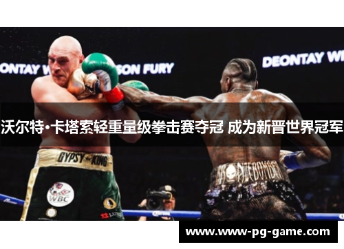 沃尔特·卡塔索轻重量级拳击赛夺冠 成为新晋世界冠军 沃尔特·卡塔索轻重量级拳击赛夺冠 成为新晋世界冠军